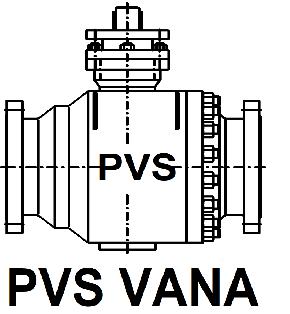 pvs-vana-logo