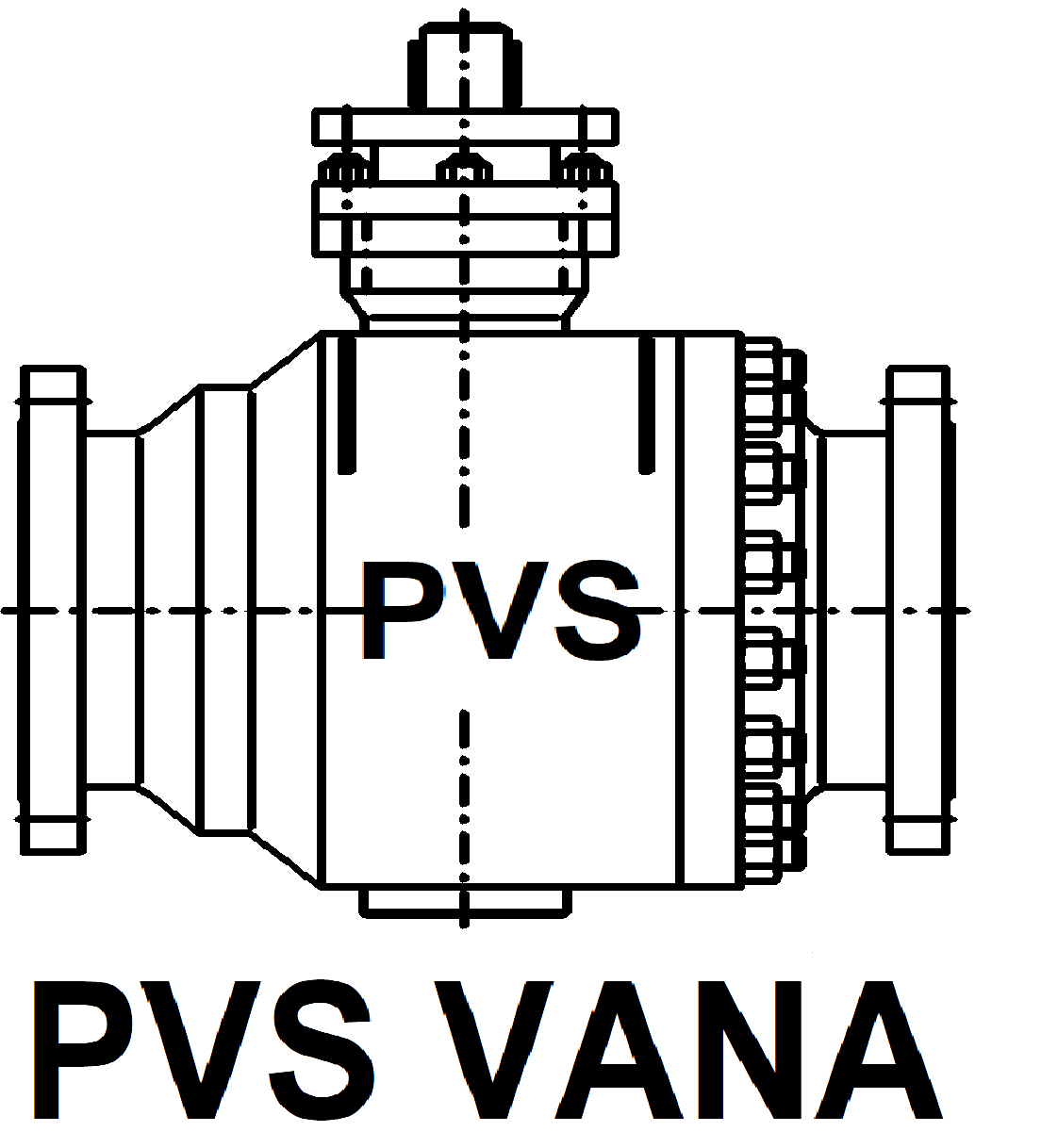 pvs-vana-logo-png